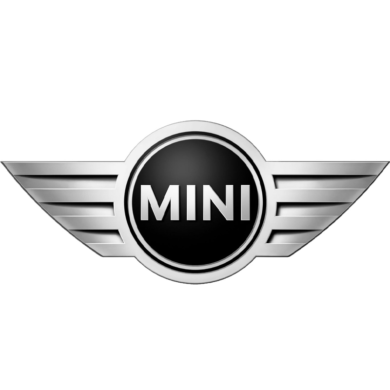 Стелс Mini Cooper